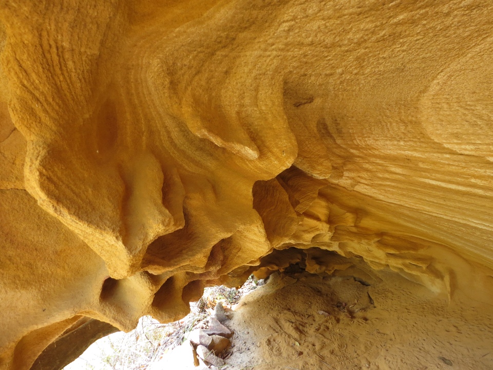 cave in Berowra